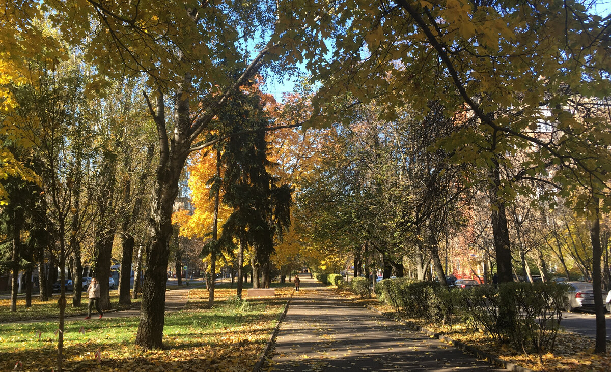 Москва. Улица Крупской. Фото автора.