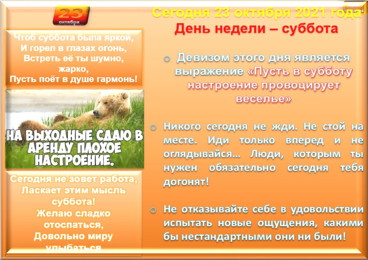 23 октября - все праздники дня во всех календарях. Традиции, приметы,  обычаи и ритуалы дня. | Сергей Чарковский Все праздники | Дзен