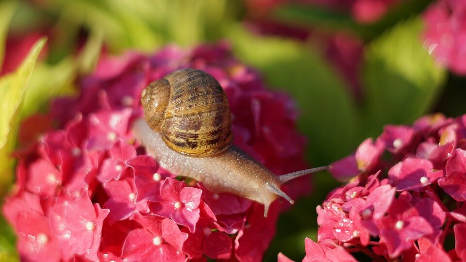 фото взято из открытых источников