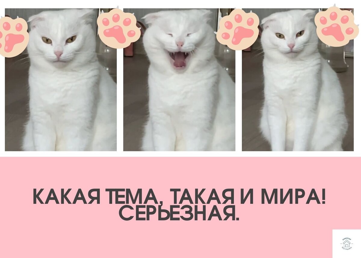 Среднее фото особенно нацелено на то, чтобы вы улыбнулись!