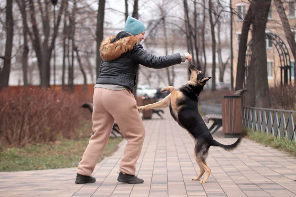 "Ну что там у тебя? Вкусное или интересное?"