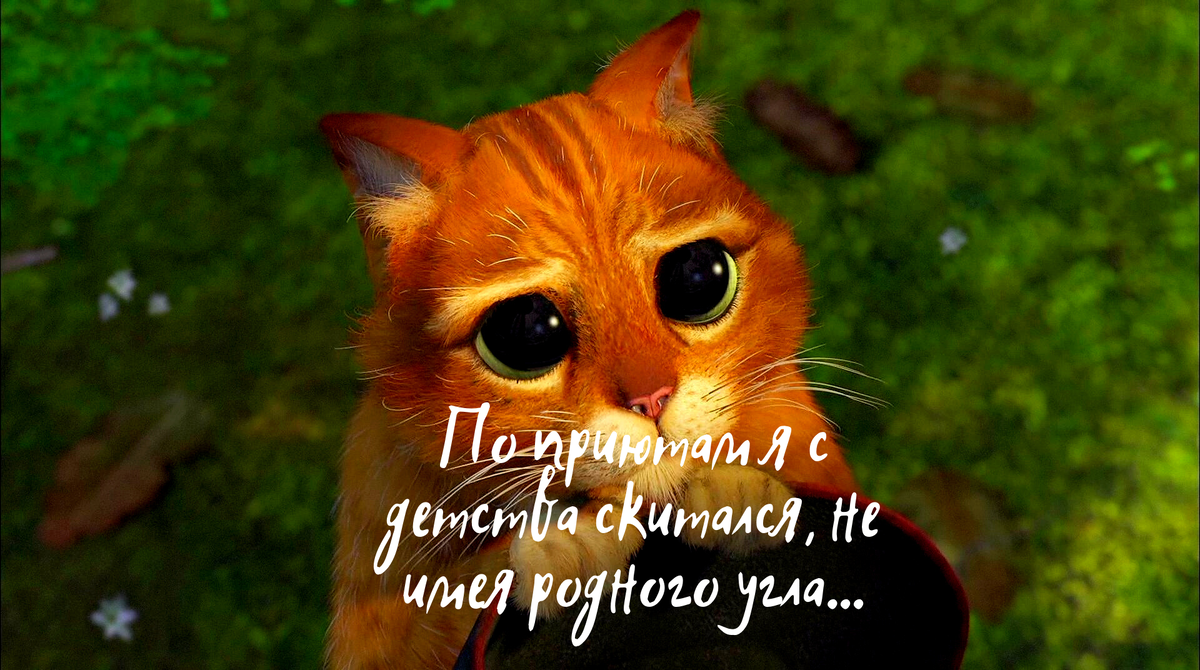 источник - яндекс.картинки, обработано автором в Canva