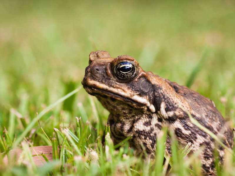 Фото: ©  jaykayl / 123RF.COM 