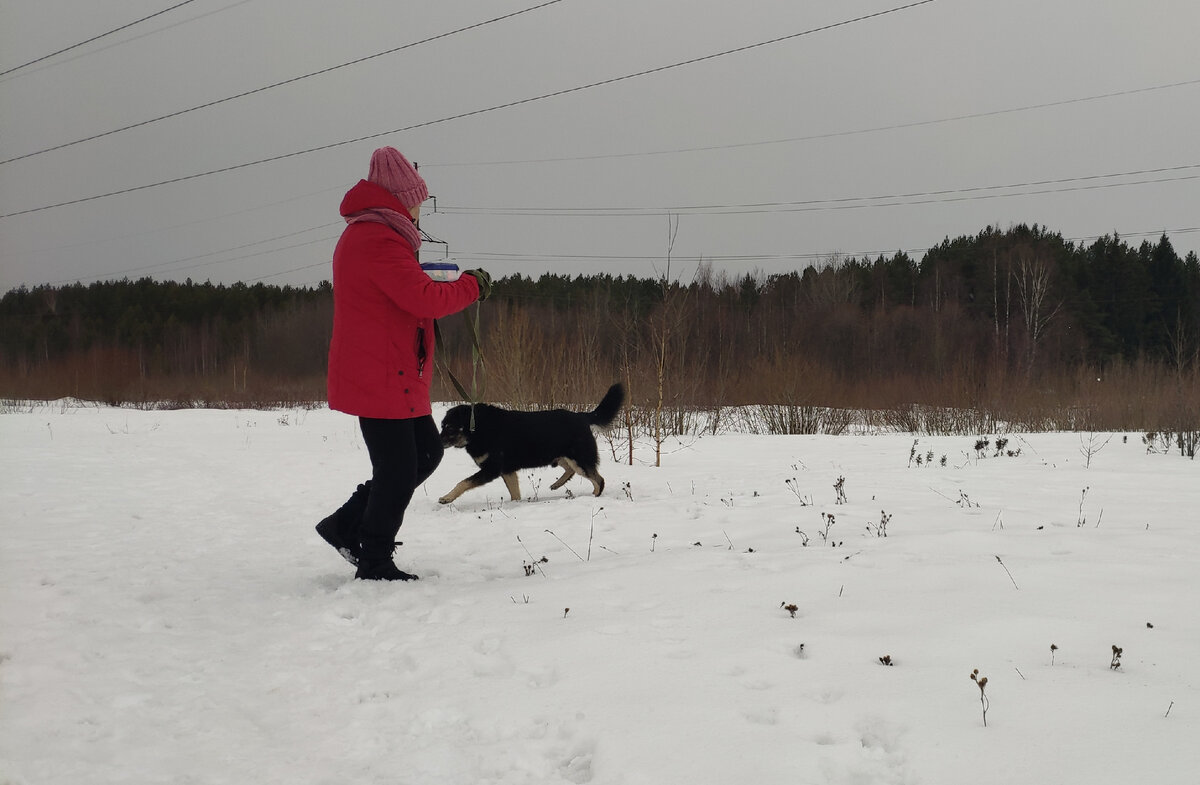 Он  и на прогулке  гуляет по кругу . 