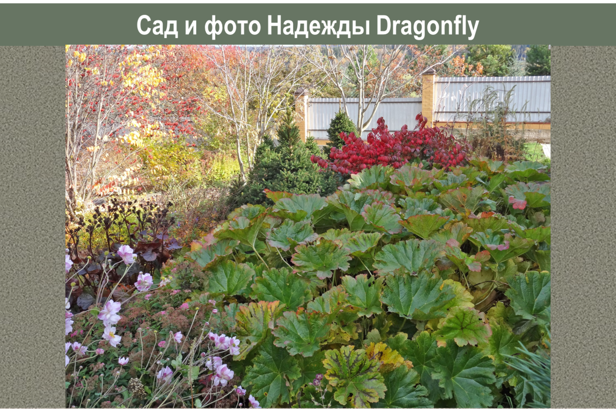 Подмосковье, источник: личный архив Надежды 