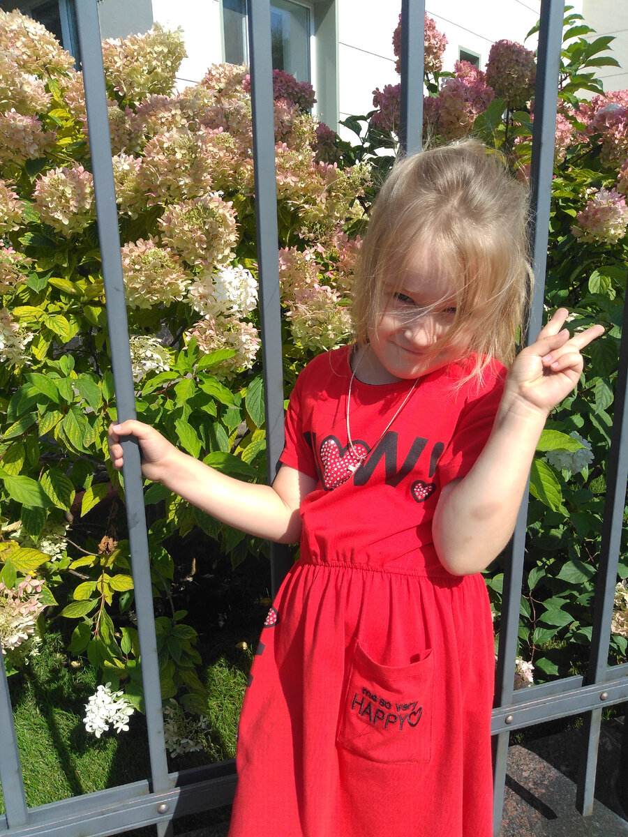 Дочка на фоне метельчатой гортензии 