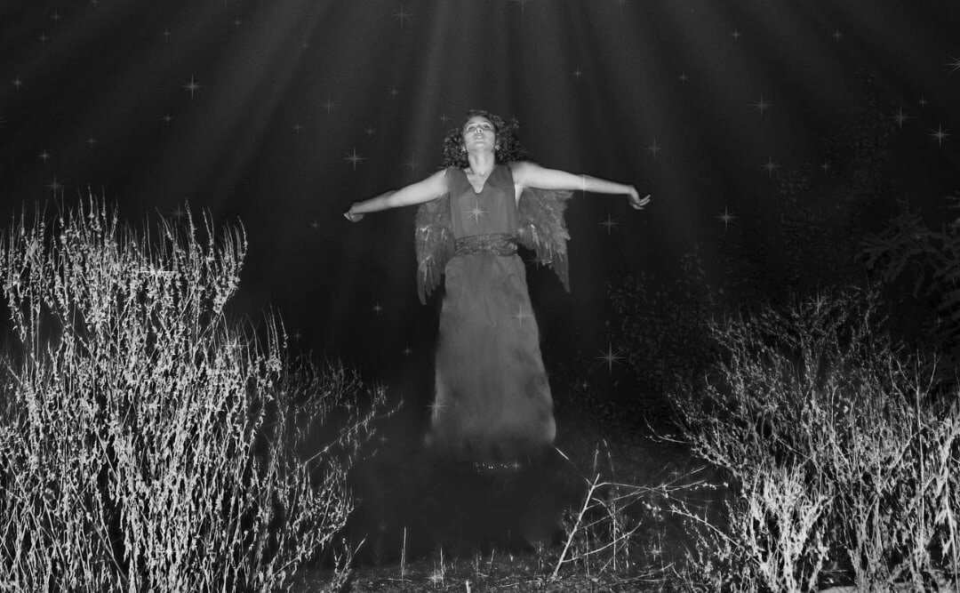 Крылья в кладовой. Тома ДИ