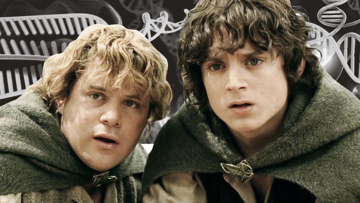 Кадр из фильма «Властелин колец: Братство кольца»