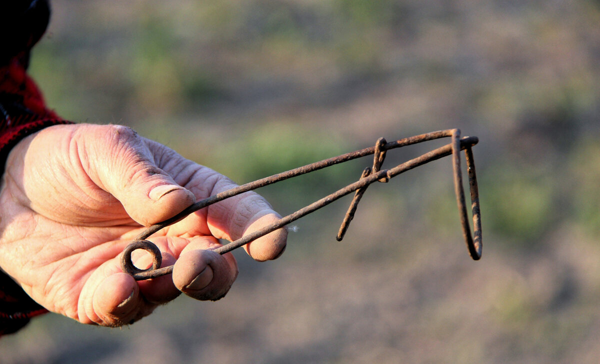 С десяток вот таких оставшихся от отца капканов-кротоловок до сих пор висит у меня в кладовке на загнутой кольцом толстой проволоке. Фото https://fi.pinterest.com.