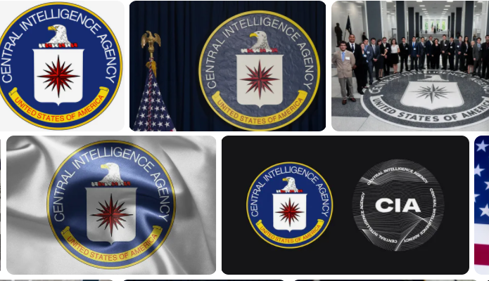 Источник Яндекс картинки по запросу CIA