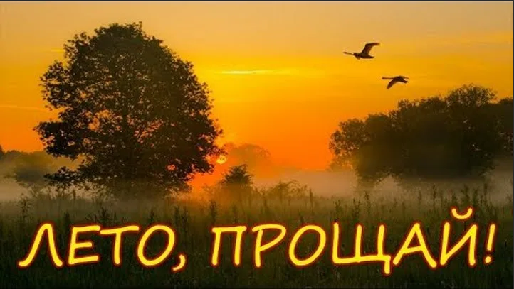Вот и лето прошло картинки прикольные