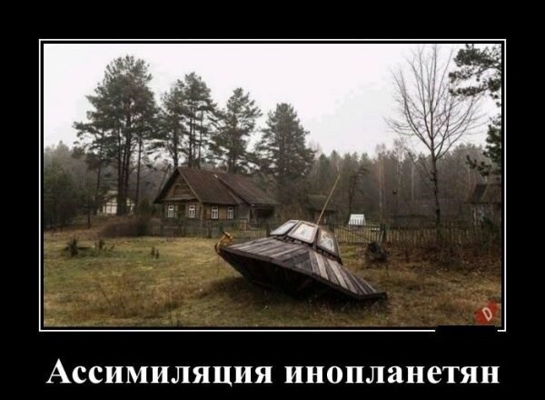 Картинка из открытых источников. 