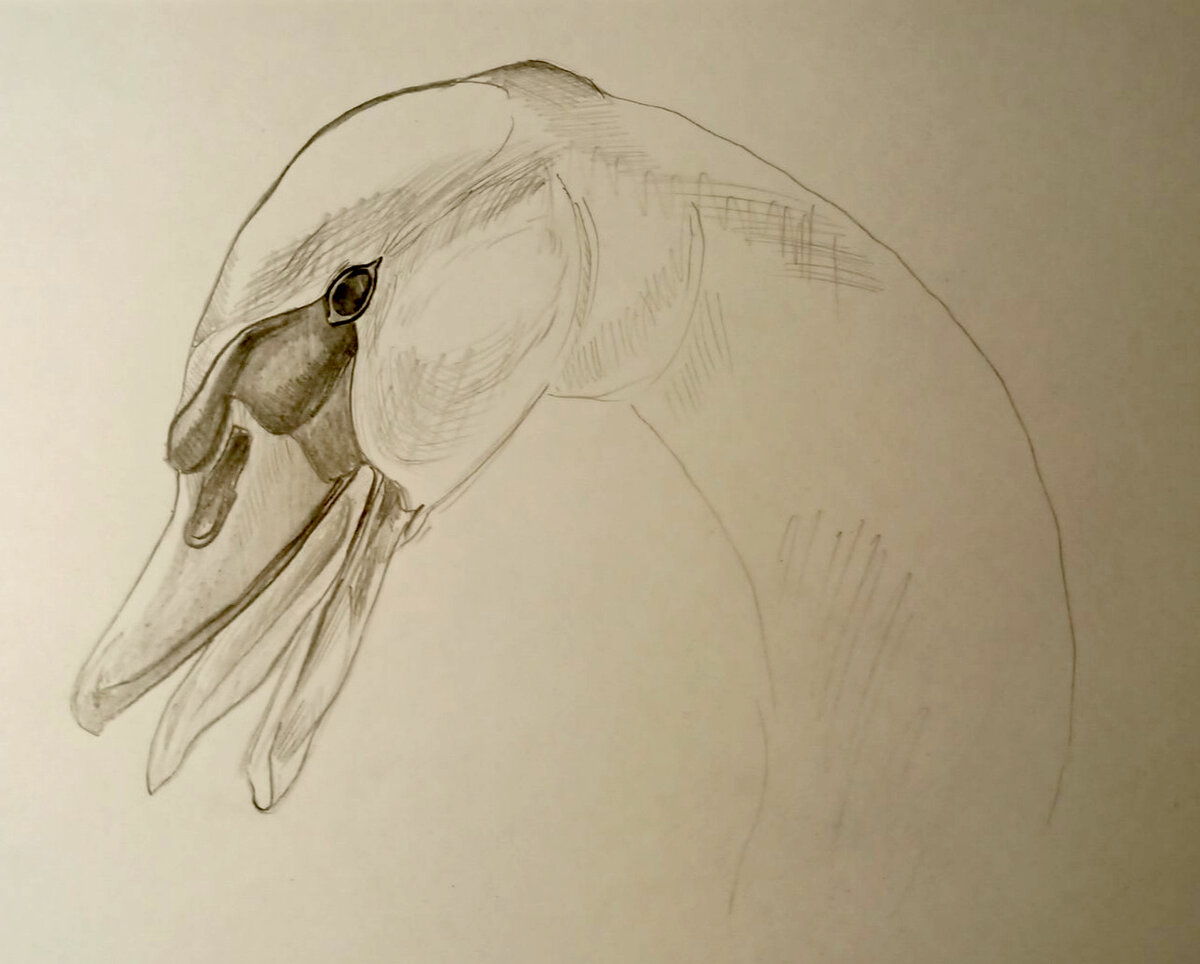 Референс. Автор и художник: Ольга Ухмылина. Подробнее на канале Яндекс.Дзен: https://dzen.ru/suite/409c98e4-b150-47bd-b8e1-c27b2c78c66f