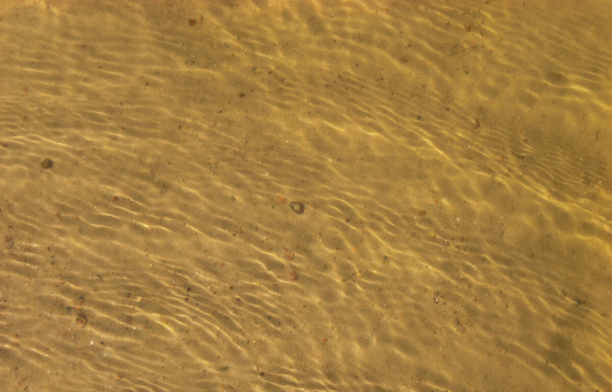 Этому фото 14 лет. Песок и вода. Фото автора