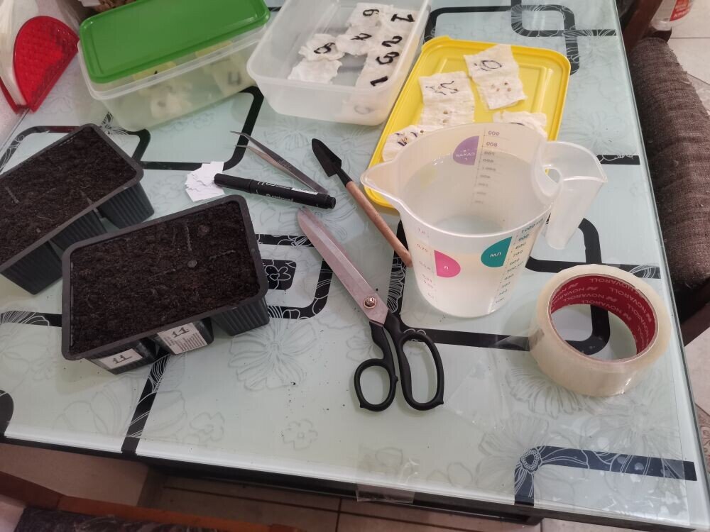 Это всё нам понадобится.