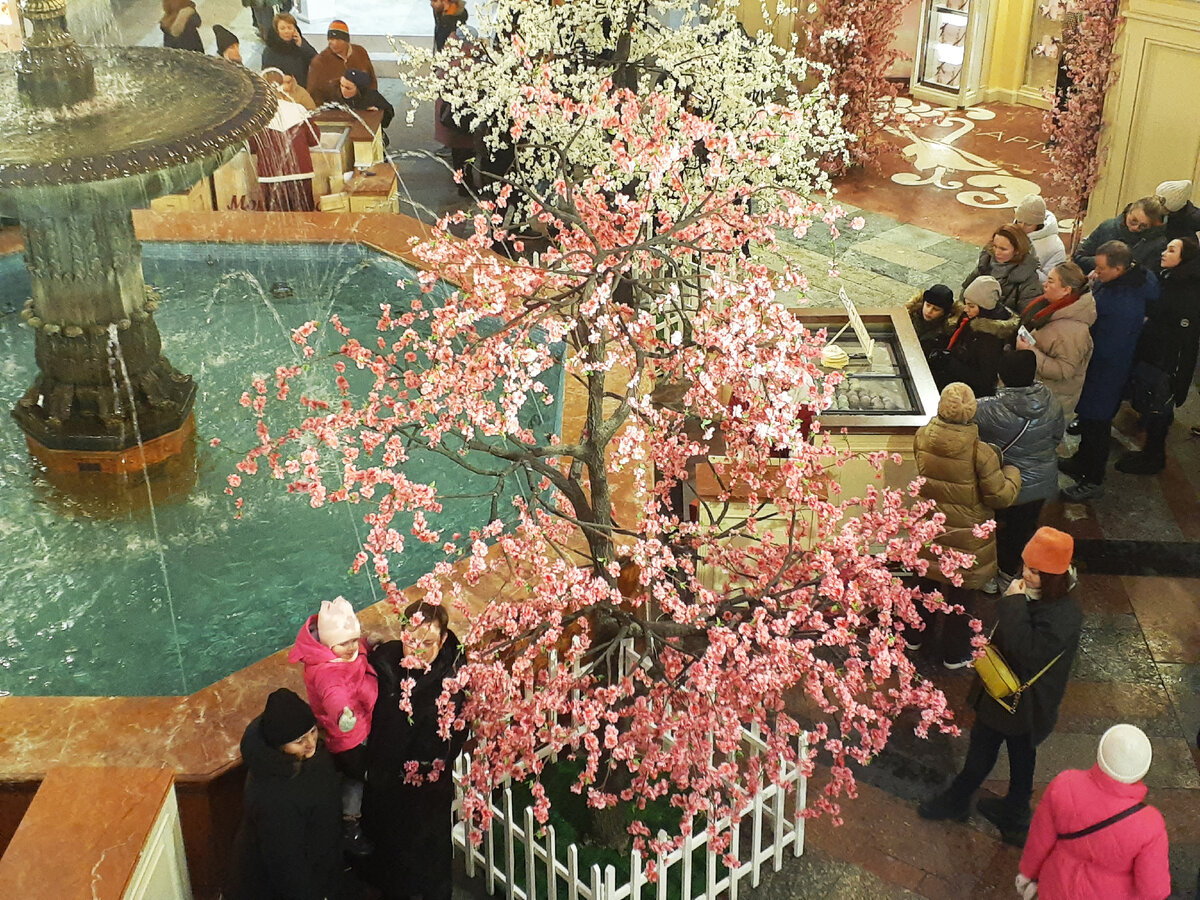 Новогодние елки в ГУМе уже сменили на цветущие сакуры. На фоне -13-градусного мороза выглядит все особенно впечатляюще.  