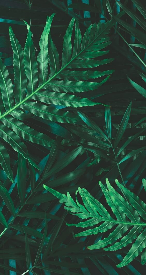 Картинка взята из Пинтереста и находится в открытом доступе.