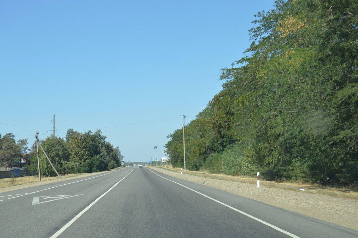 Фото автора. 18.08.2023. Прямой путь на СТФ.