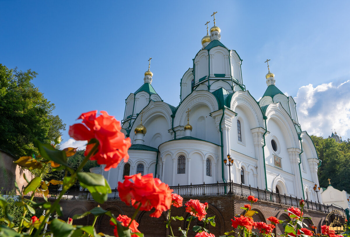 Владимир Святогорский