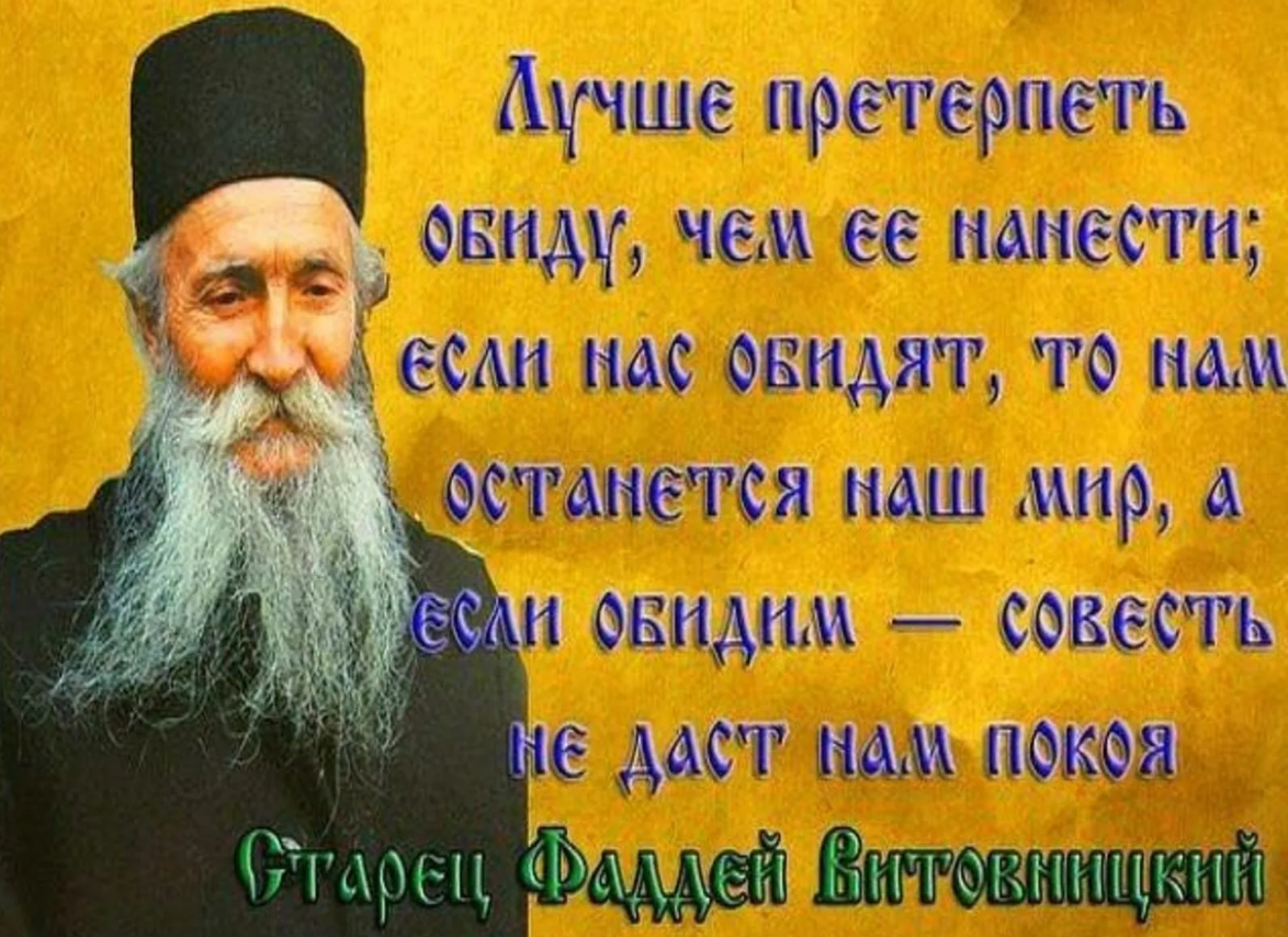 Стало пустынно поля засеяны незаслуженная обида. Цитаты святых отцов. Высказывания старцев. Цитаты святых про обиды. Обида Православие.