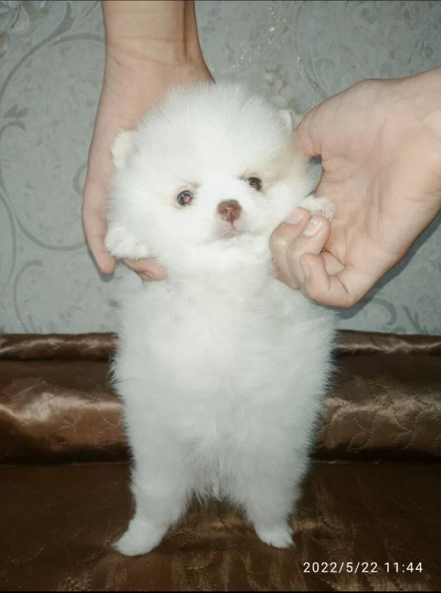 Мне 1,5 месяца 