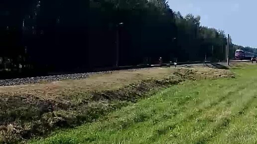 Жизнь после переезда. Беларусь | Дизель-поезд - один из видов ...