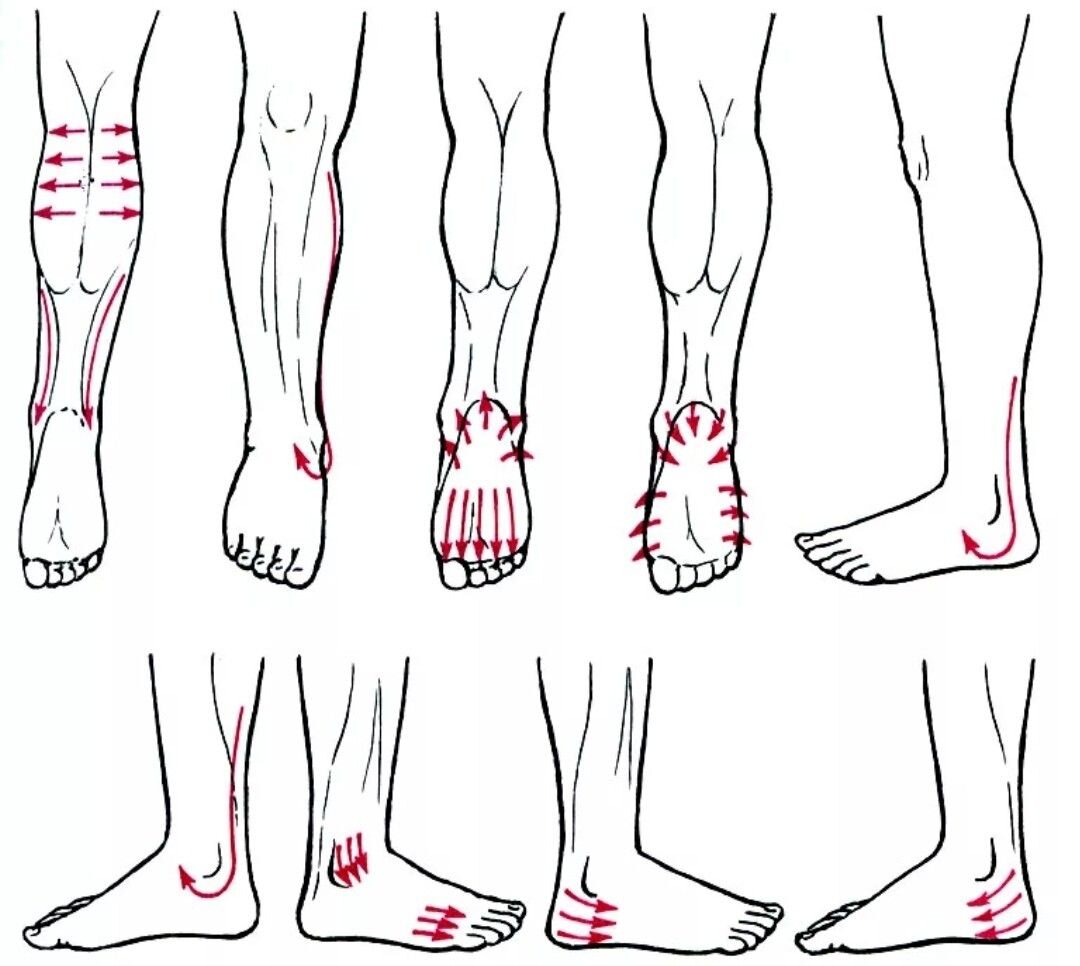 Нога добавить. Массаж нижних конечностей техника. Массаж при полинейропатии нижних конечностей. Массаж ног при нейропатии нижних конечностей. Направление массажных движений при массаже нижних конечностей.