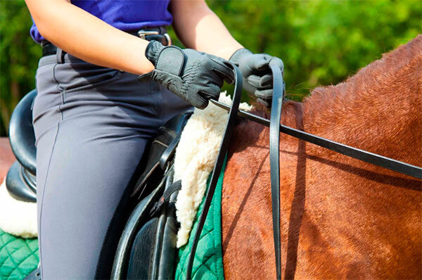 Источник фото сервис Яндекс.Картинки