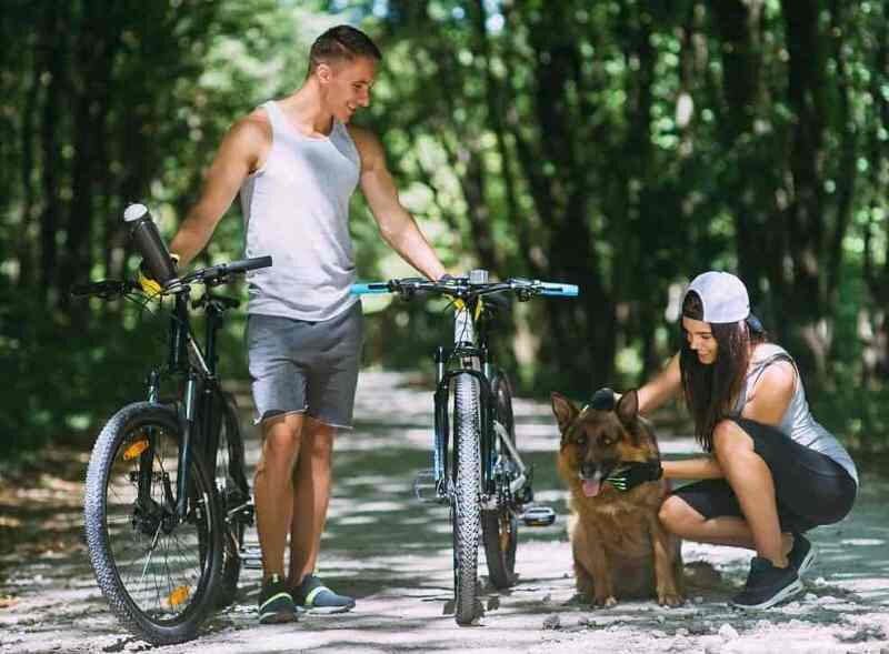 Источник: https://zakupki07.ru/doc/articles/12-specialnyh-povodkov-dlya-veloprogulok-s-sobakoj.html