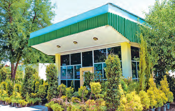 Фото: Хасан Магадов.