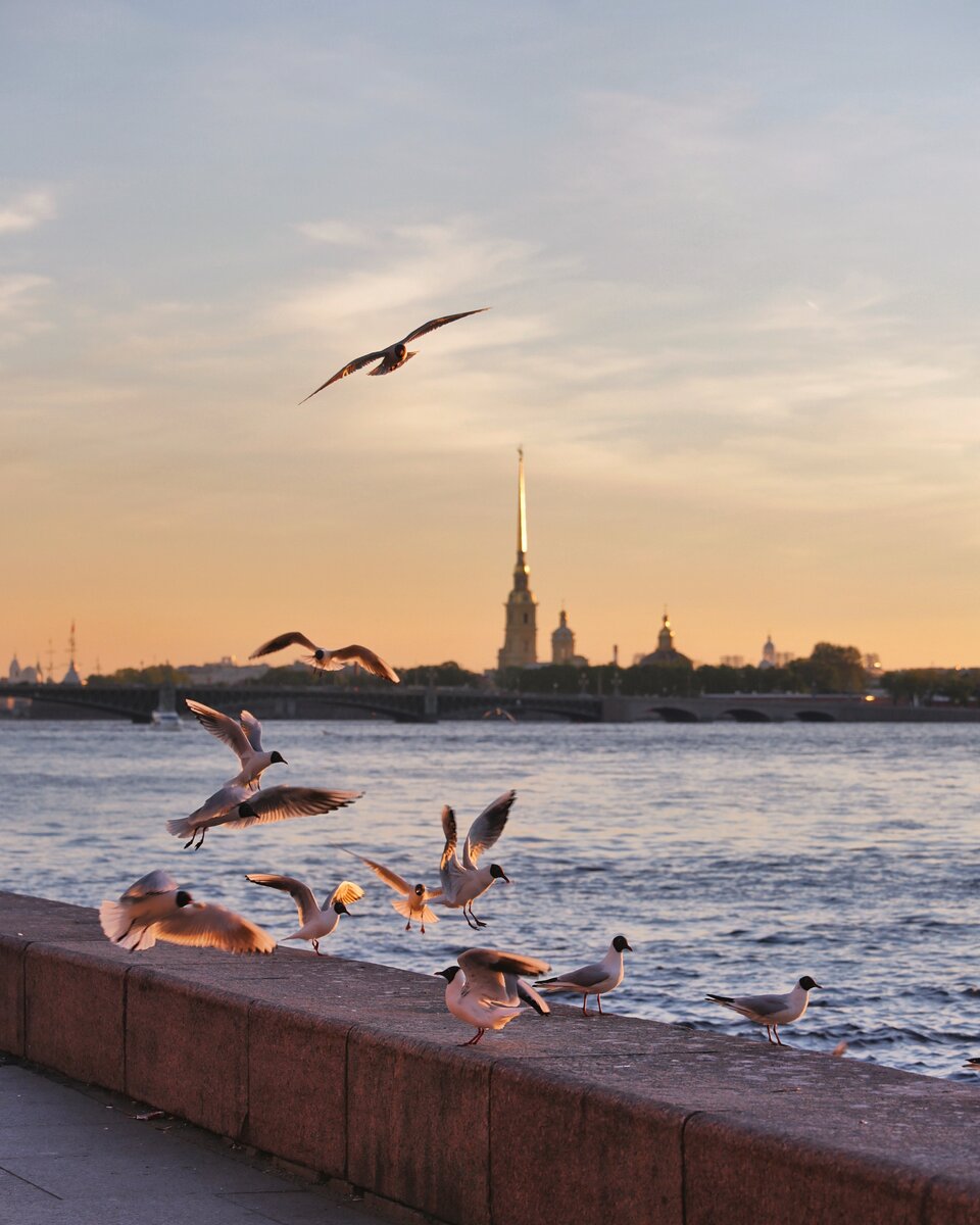 Санкт-Петербург, Петропавловская крепость, июнь 2017г