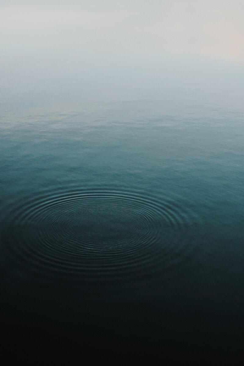 https://unsplash.com/photos/NBQhCKtg_9Y