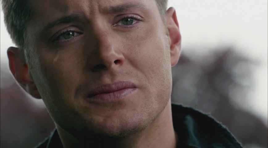 Картинки взяты из публичного доступа Яндекс.Картинки