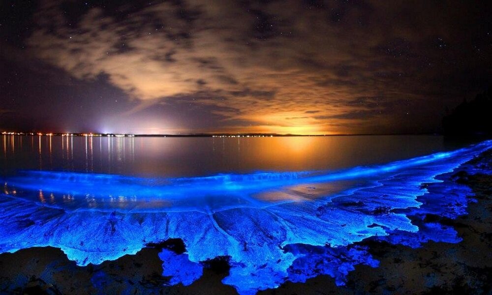 Фото: Яндекс