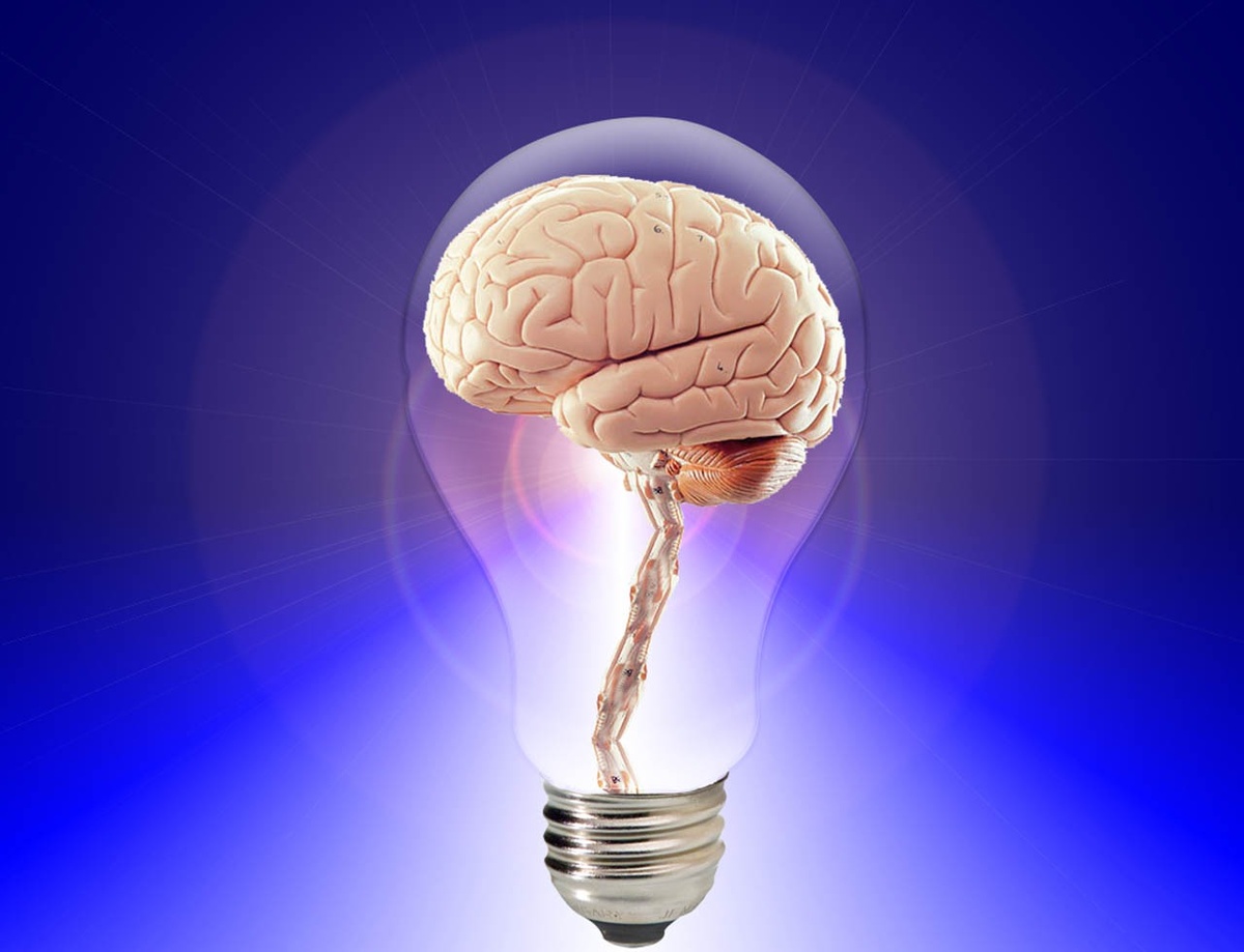 https://pixabay.com/get/54e0d1414e4fb14cf6da8574c52f3e7a083edbe25257704d762c73/brain-20424.jpg