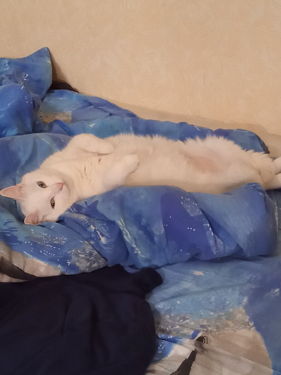 Деловая колбаса