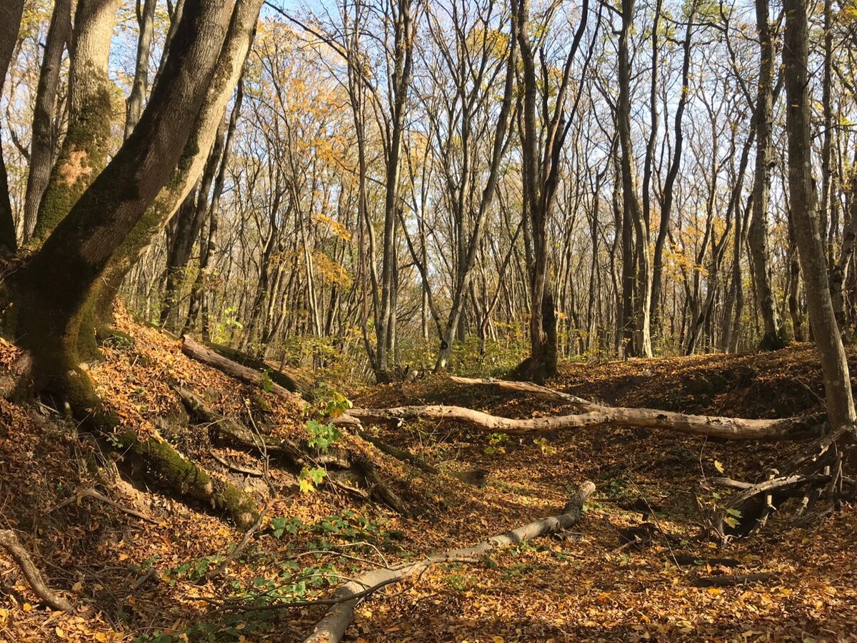 Русло пересохшей реки (фото из личного архива)