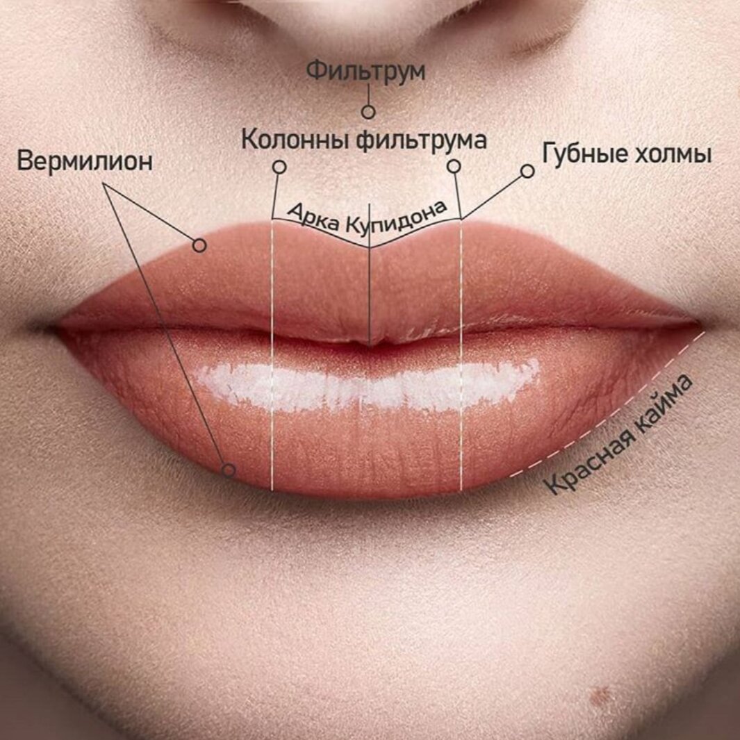 Милые дамы!  Красивые губы показатель положительный энергии