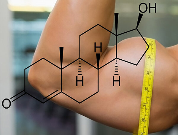 Alimentos que suben la testosterona la erección y el deseo