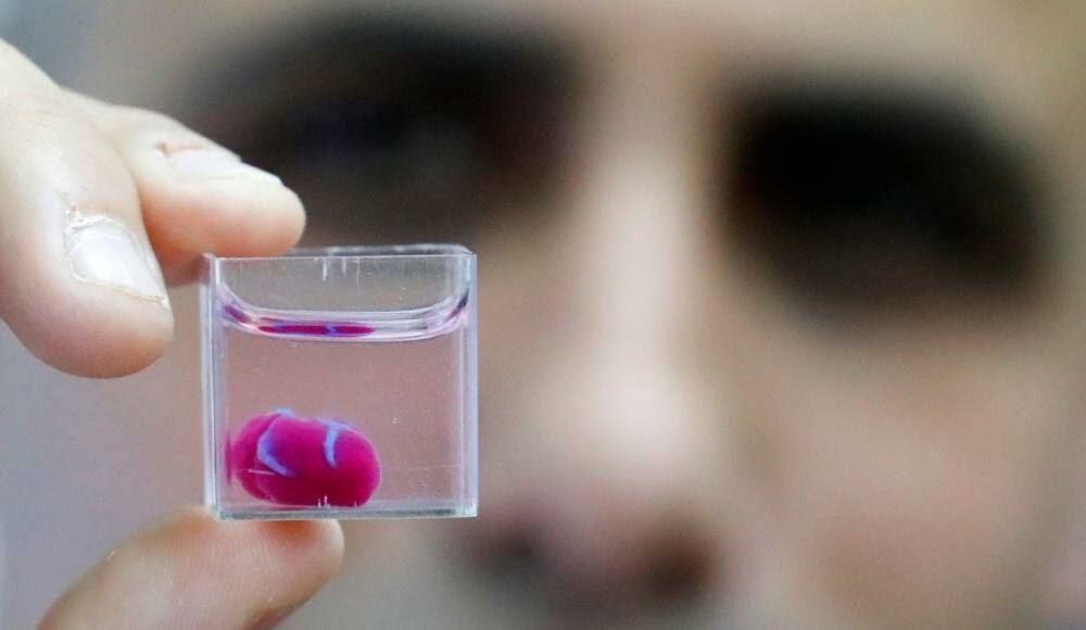 В Израиле напечатали первое живое сердце из жировых клеток на 3D-принтере! Оно совсем маленькое, но это уже огромный шаг в области пересадки органов. По словам ученых, уже скоро такие принтеры будут стоять в каждой больнице, в любое время способные распечатать органы, полностью персонализированные под человека.