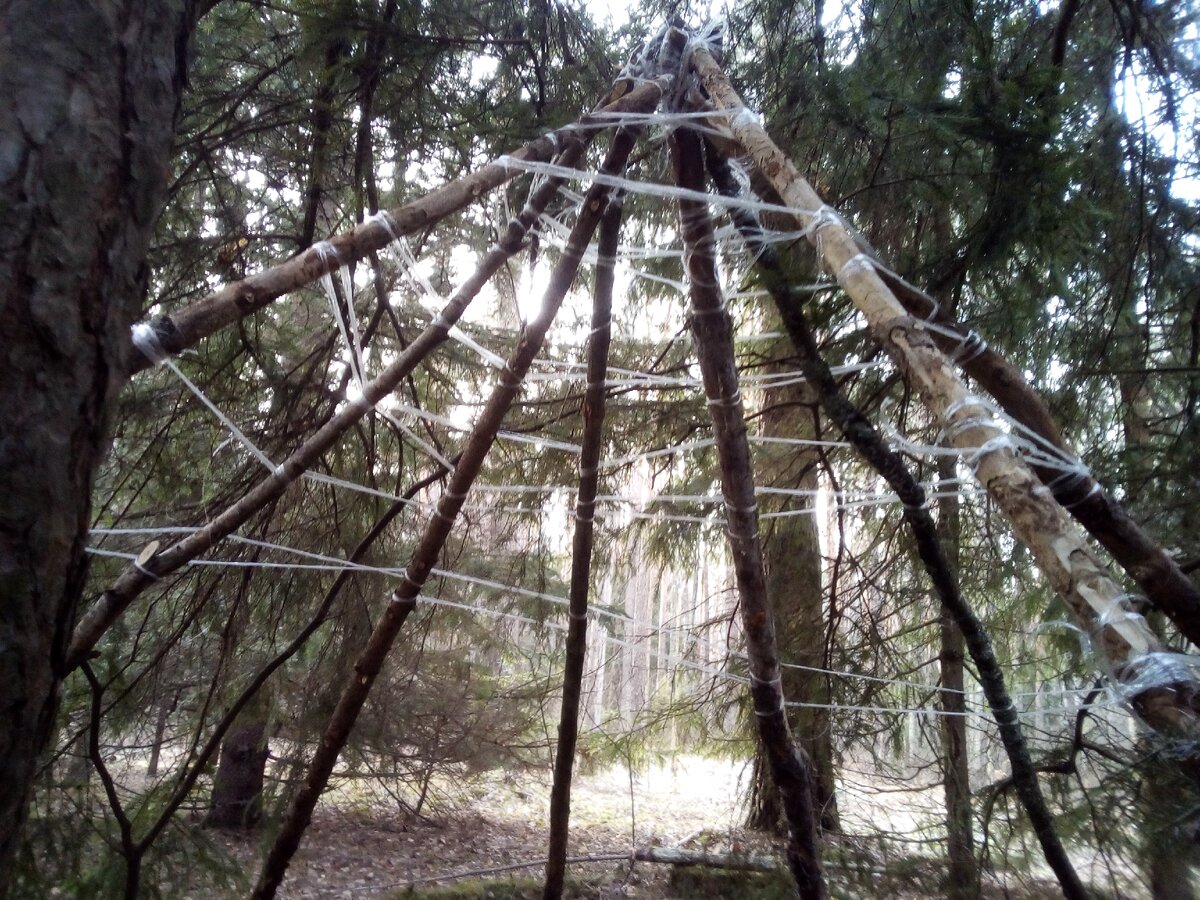 Шалаш на дереве в лесу