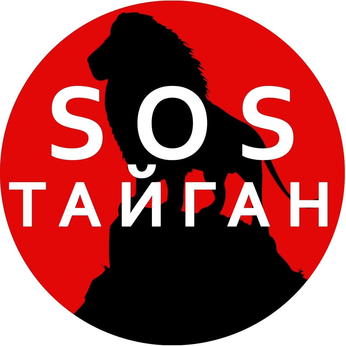 Источник: https://vk.com/taiganzoo