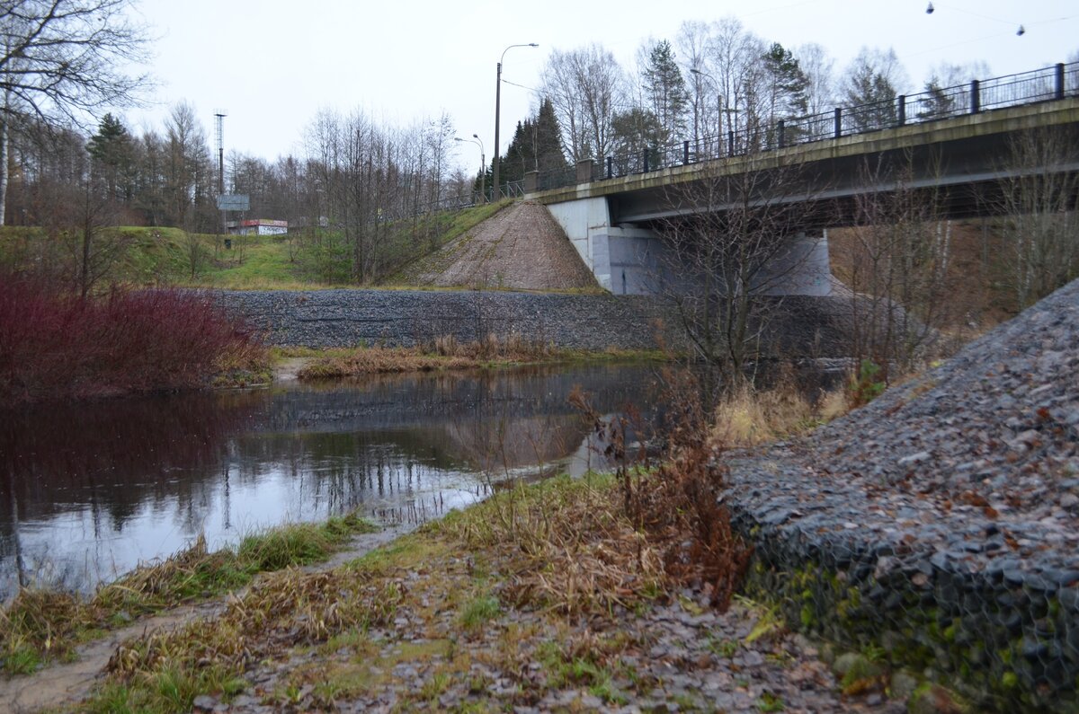 Черная речка