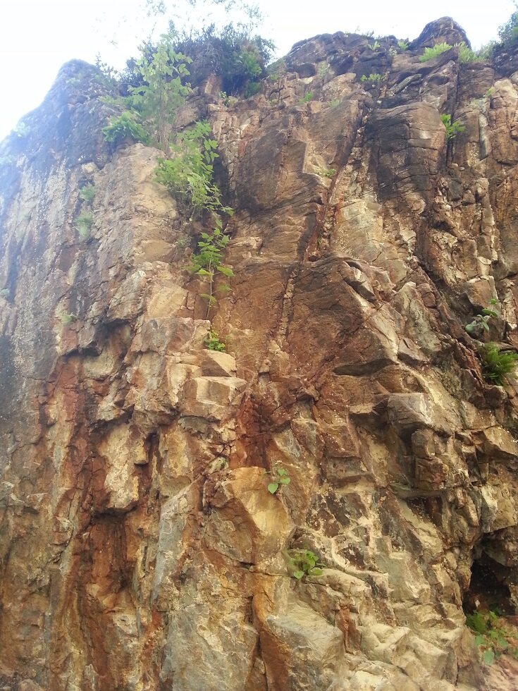 фото из личного архива