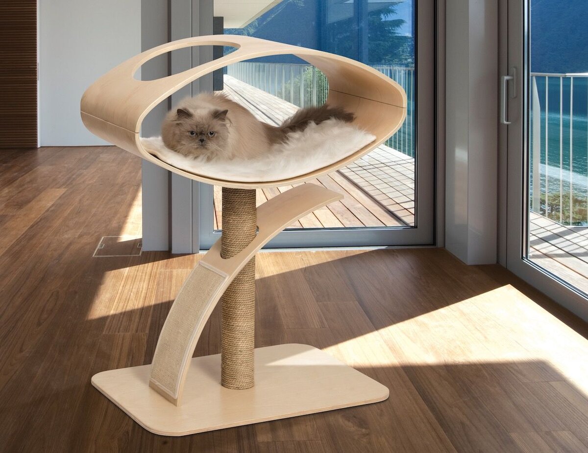 Кошачий домик