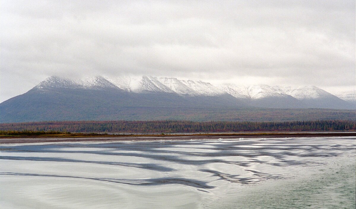 Арктический заповедник Таймыр