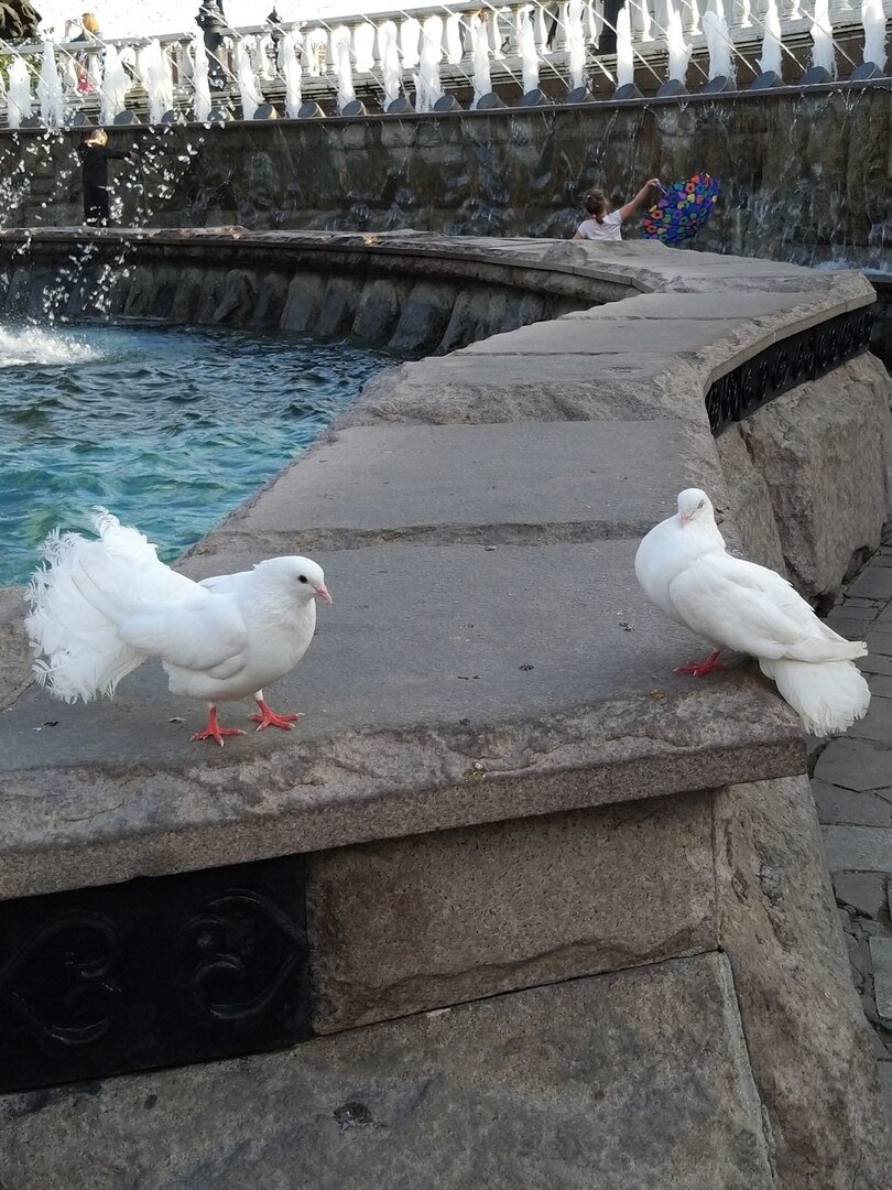                                                                                                 Фото автора статьи