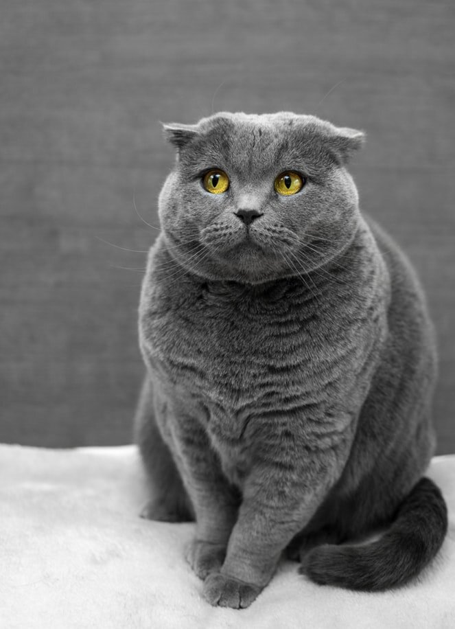 Это не я сделал, надеюсь что не заметят