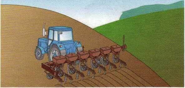 Яндекс картинки