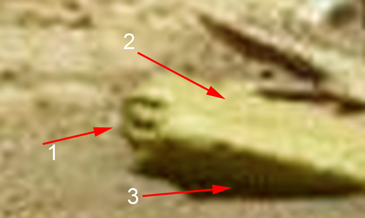 Фото из открытых источников.